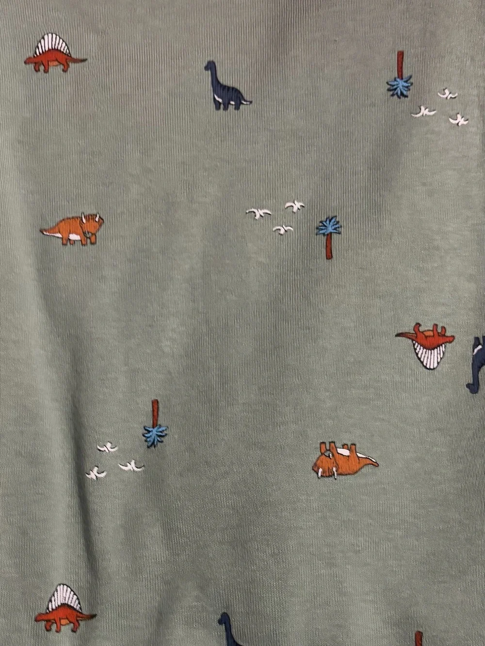 Carter's - 5 Piece Onesie Set with Dinosaur Graphics - Size 18 Months